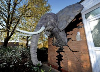 Massivit 1800  3D baskı çözümü ile  Duvardan fırlayan  Afrika fili