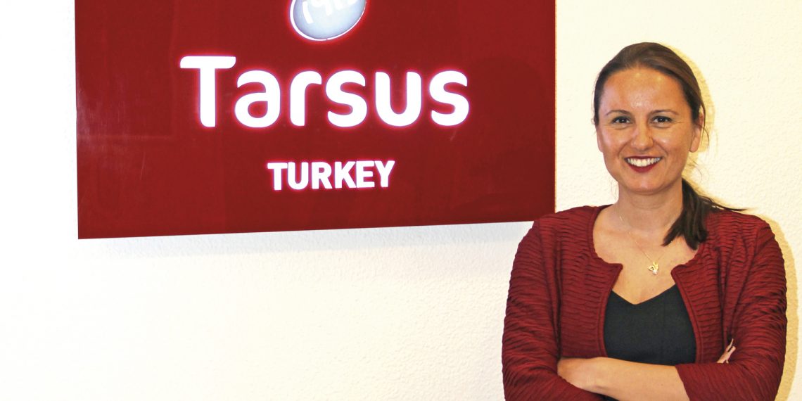 Sign İstanbul 2019, 21. buluşmaya hazırlanıyor