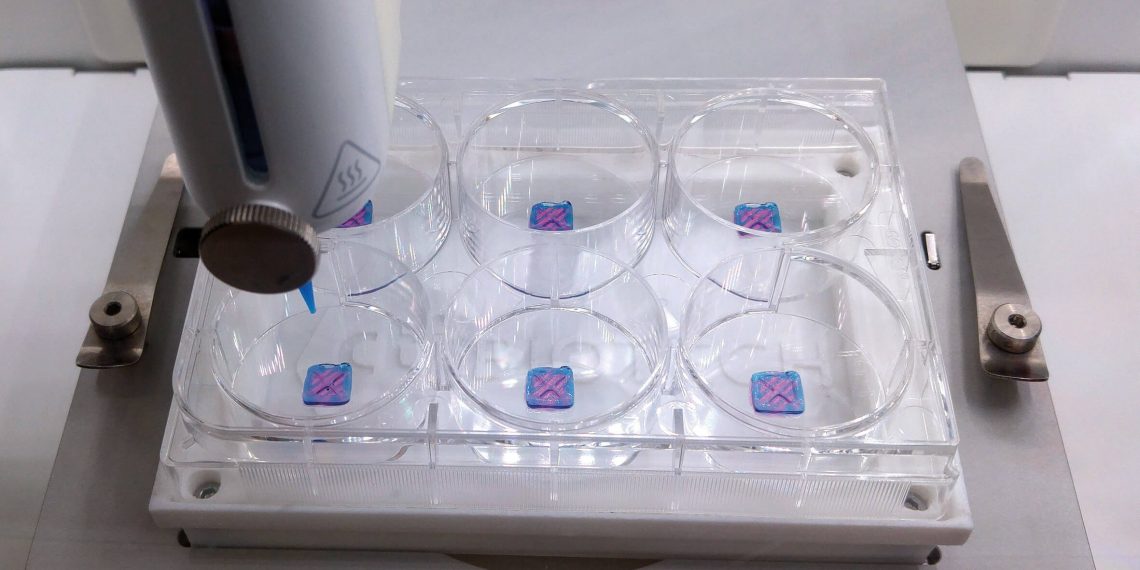 BASF ve CTIBiotech immün makrofajlar dahil İlk 3D biyobaskılı, yeniden oluşturulmuş insan derisi geliştirdi