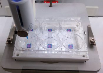 BASF ve CTIBiotech immün makrofajlar dahil İlk 3D biyobaskılı, yeniden oluşturulmuş insan derisi geliştirdi