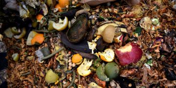 Termal uygulamalar için  Avery Dennison’dan yeni bir ‘OK Composit’ sertifikalı etiket malzemesi