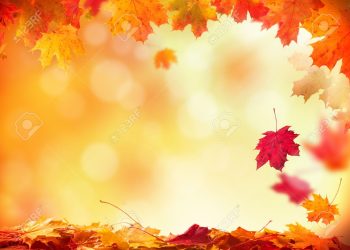 NORMALLEŞEN VERİLER…