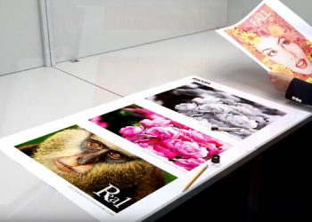 Sürekli beslemeli inkjet baskı makineleri için  Doğru mürekkep kullanımı Ricoh Ink Estimator Tool ile hesaplanıyor