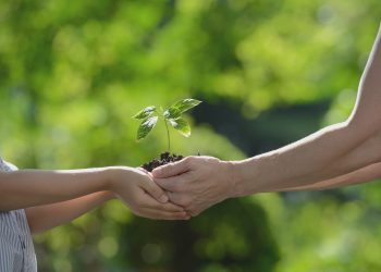 Kyocera Dünyanın En Sürdürülebilir Şekilde Yönetilen 100 Şirketi arasında