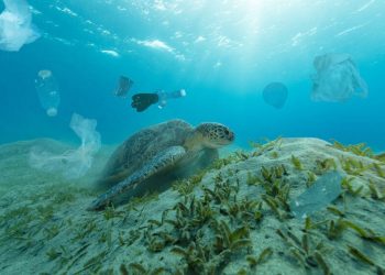 Asya’dan bildiri: Okyanus plastikleri için daha fazlasını yapma zamanı