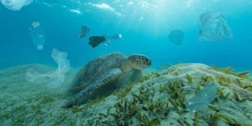 Asya’dan bildiri: Okyanus plastikleri için daha fazlasını yapma zamanı