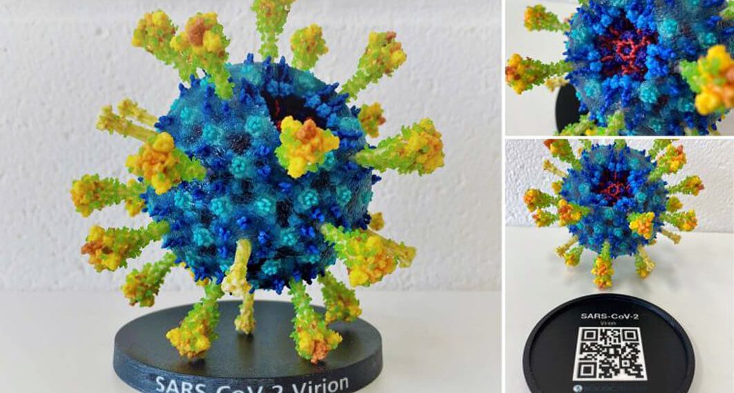 Biologic Models Mimaki 3DUJ-553 ile Renkli, karmaşık protein modelleri