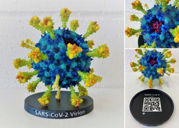 Biologic Models Mimaki 3DUJ-553 ile Renkli, karmaşık protein modelleri