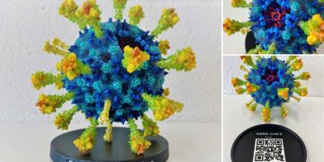 Biologic Models Mimaki 3DUJ-553 ile Renkli, karmaşık protein modelleri