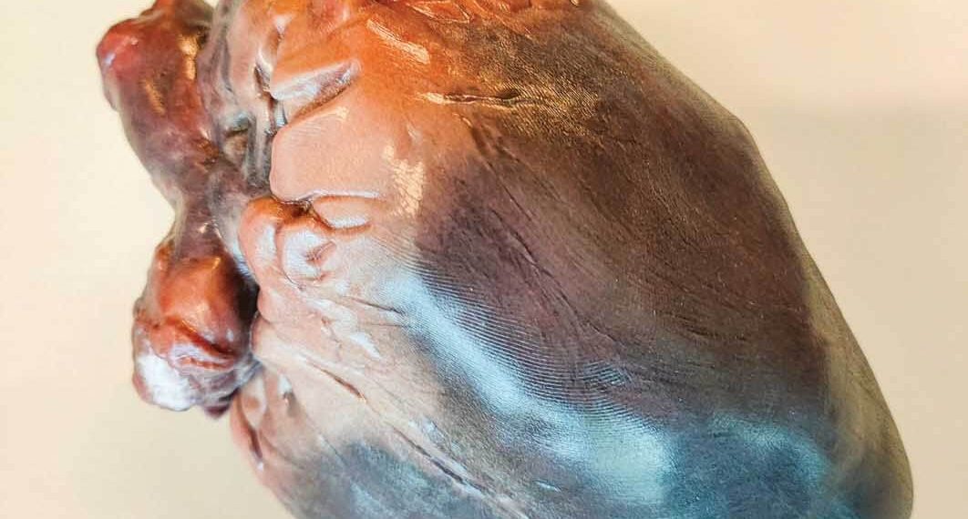 Mimaki 3D baskı, anatominin ‘güzelliğine’ renk katıyor