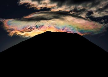 Tokyo Camera Club ve Impremia NS40 iş birliği