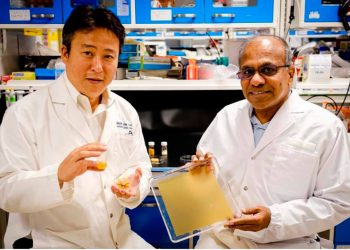 Polen bazlı ‘kâğıt’ yeni doğal bileşenlerin üretimi için umut vaat ediyor