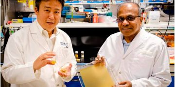 Polen bazlı ‘kâğıt’ yeni doğal bileşenlerin üretimi için umut vaat ediyor