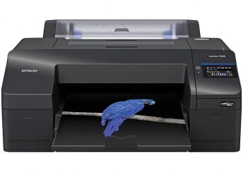 Fotoğrafçılar ve güzel sanatlar için tasarlandıEpson, sanatı canlandıran yazıcısını tanıttı