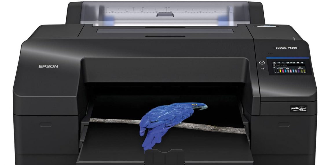 Fotoğrafçılar ve güzel sanatlar için tasarlandı:SC-P5300