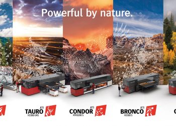 Gücünü doğasından alıyor