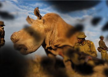 drupa 2024 fuarındaCanon, kabartmalı baskı olanaklarını canlı uygulamalarla sergiliyor