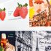 WEILBURGER Graphics GmbH’denYeni inkjet UV lak