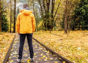 Odun lifi bazlı ‘biyorafineriler’3 yılda cirosunu ikiye katlayarak 6 milyar euroya çıkardı