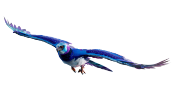 Hunkeler Innovationdays 2025:Üretkenliği artıracak yenilikçi uçtan uca Ricoh otomasyonu