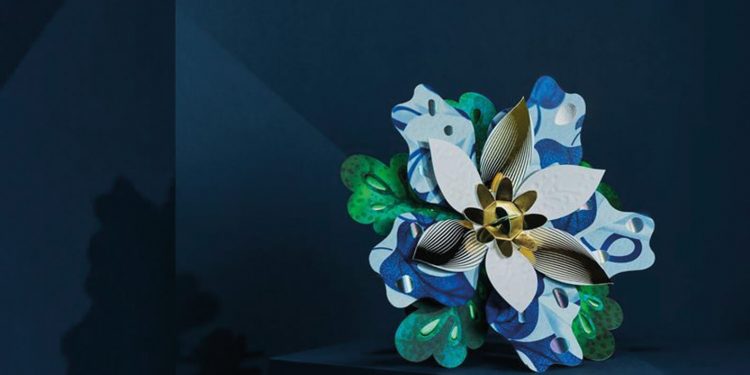 Taze liflerdentaze fikirlere